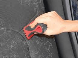 Professional Pet Hair Removal St Paul, MN