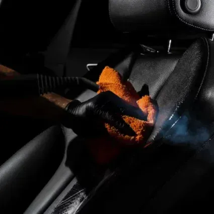 Best Pet Hair Removal in St Paul, MN